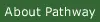 About Pathway